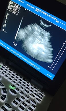 Furline Pet Clinic Rawalpindi