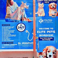 Elite Pets Hospital
