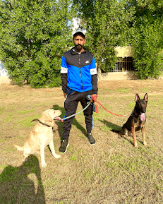 Professional Dog Trainer K9 Karachi