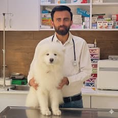 Doctor Pet Hospital (Dr. Ali Usman)