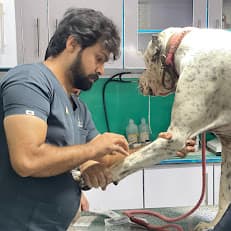 Alpha Pet Care ??? Animal Hospital, Veterinary Clinic & Pet Store