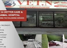 VET.N Critter Care & Animal Hospital