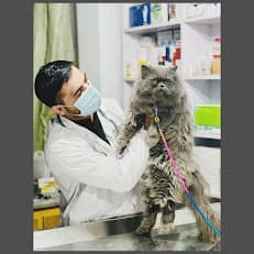 Dr Zahir Pets clinic