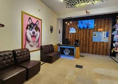 Pawland Healthcare & Mart