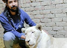 Ali Veterinary Hospital