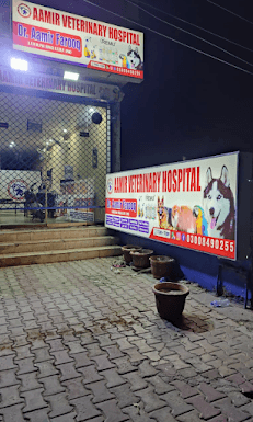 Aamir Veterinary Hospital