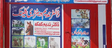 Dr.Nadeem Veterinary Clinic Sultan Colony
