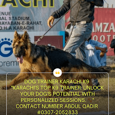 Dog Trainer Karachi K9