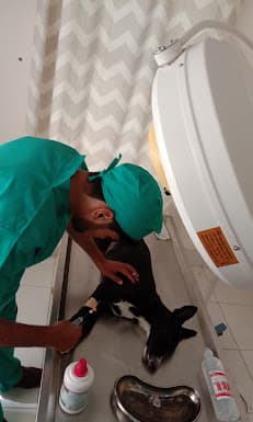 Al-Shafi Pets and Vets Care Center