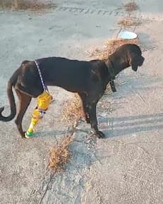 HOUSE OF HAPPINESS FOUNDATION