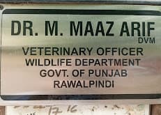 Mighty Paws Home Pet Clinic