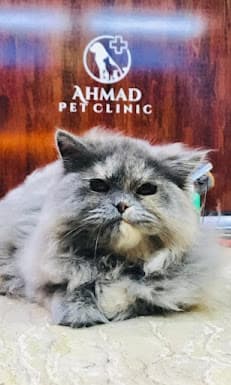 Ahmad Pet Clinic