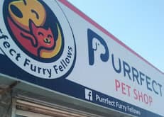 Purrfect Pet Shop Tehkal Payan peshawar