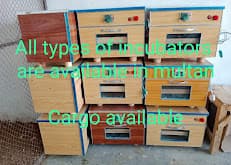 Absologic Incobators and pets shop