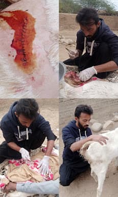 Dr Muhammad AsaD ShafiQ