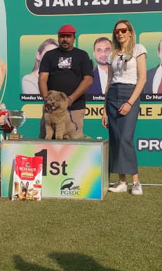 imran dog trainer lahore