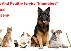 Hamza Pets Clinic and Poultry Service.dairy form vets animals and fish form services.